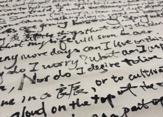 Text & Images Experiment